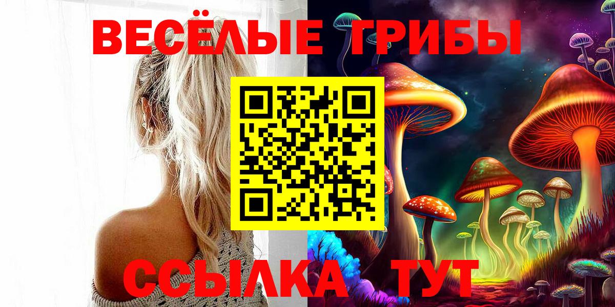 Галлюциногенные грибы мицелий  Вход с VPN  цены наркотик  Грозный 