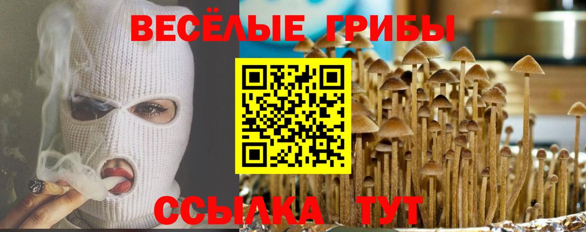 Псилоцибиновые грибы MAGIC MUSHROOMS Грозный